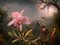 Martin Džonson Hed - Cattleya orhideja i tri kolibrija
