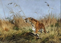 Alberto Mangel - Simbolički tigrovi Horhea Luisa Borhesa