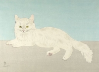 Simbolika bele mačke