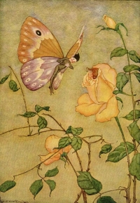 Ruža i leptir