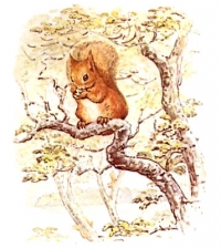 Simbolika veverice