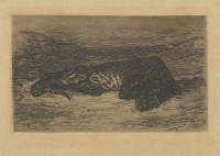 Ežen Delakroa - Tigar leži u pustinji 