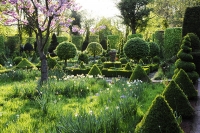 Živa ograda - atraktivan ukras vrta