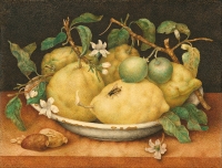 Đovana Garconi - Mrtva priroda sa činijom limunova