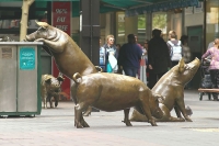 Svinje u tržnom centru Rundle Mall - Adelaide 