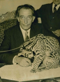 Salvador Dali i ocelot Babou