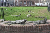 Iguana park - Amsterdam