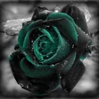 Simbolika zelene ruže
