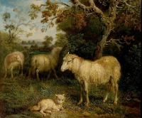 Simbolika ovce