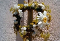 Simbolika ivanjskog cveća 