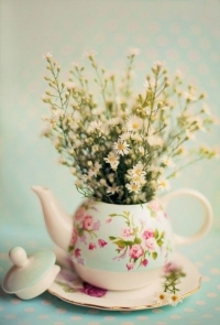 Stari čajnici kao saksije za cveće