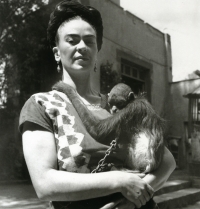 Frida Kalo i majmuni 